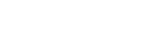 “The Bellini Twins took inspired idiocy to new heights.
Trust me, it was hilarious.”
Misha Berson, Seattle Times